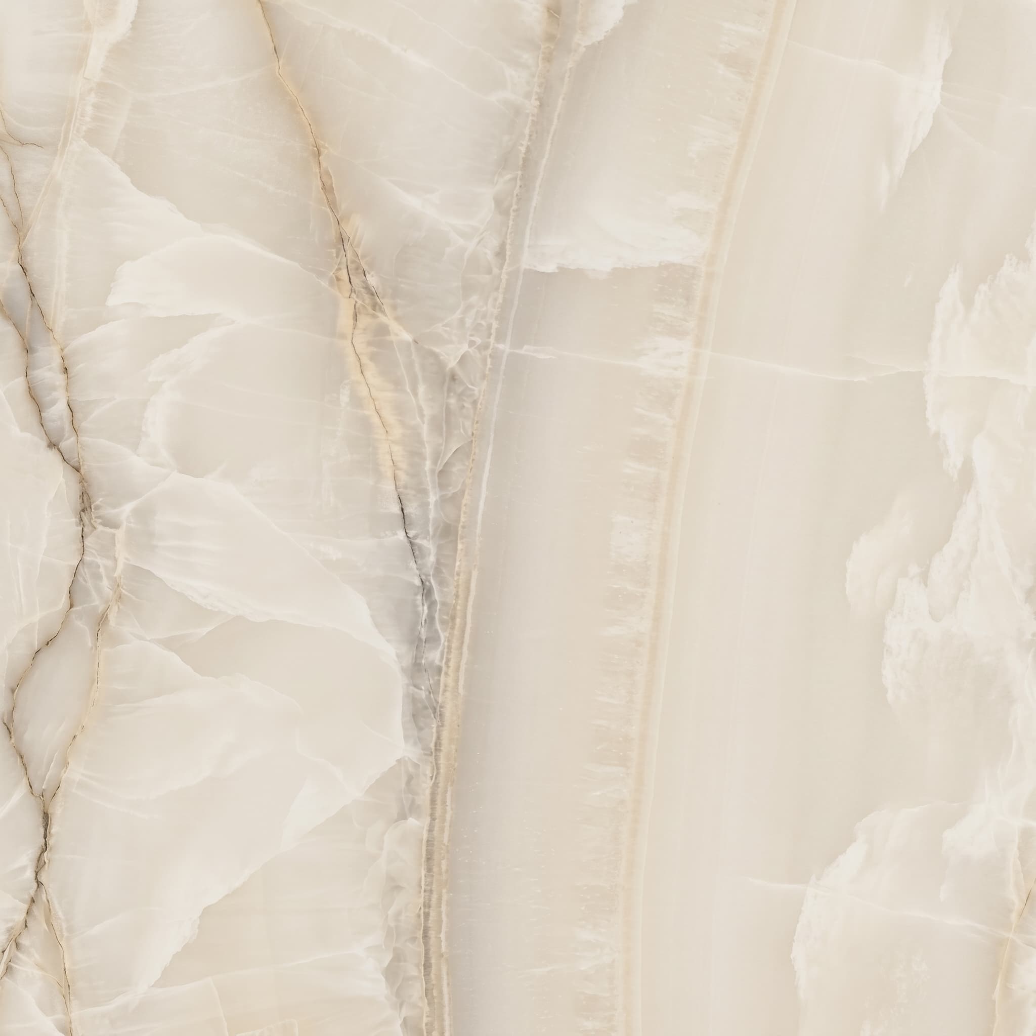 Akoya Ivory Matte 12 x 24