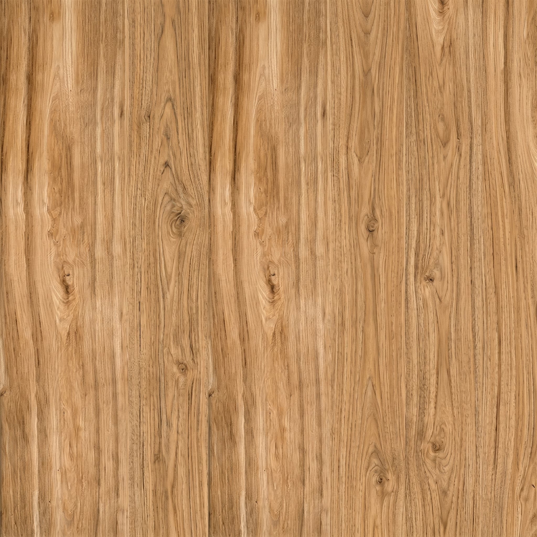 Cypress Bronze