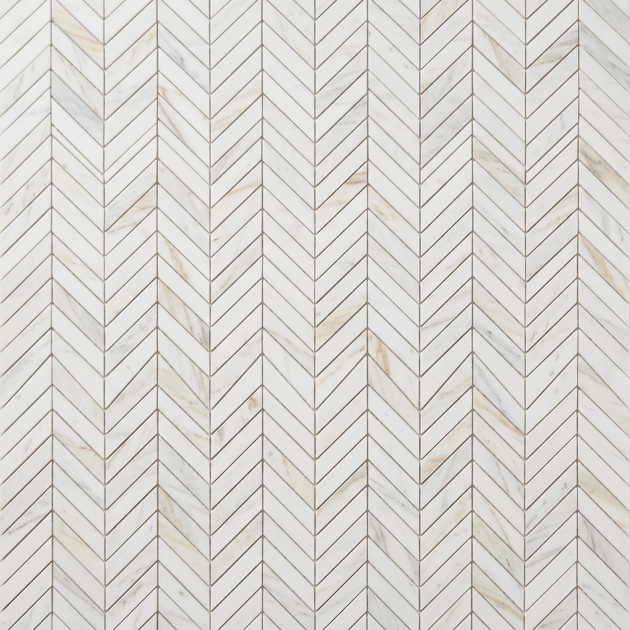 Chevron Eurasian