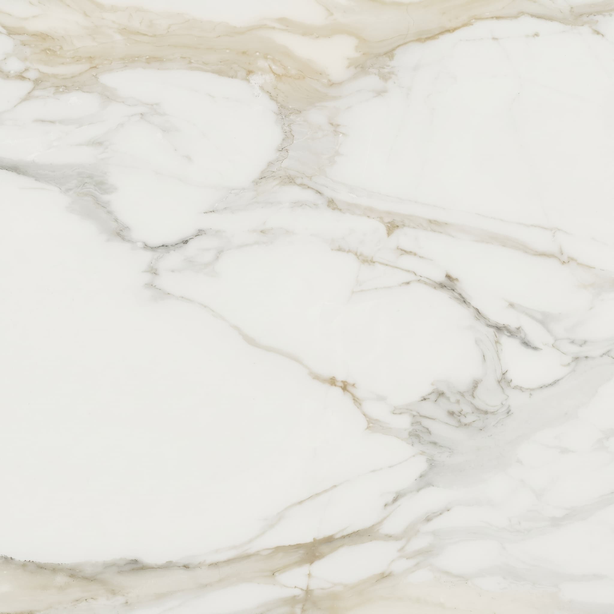 Porcelain Tile Classici Calacatta Gold Glossy 48 x 48