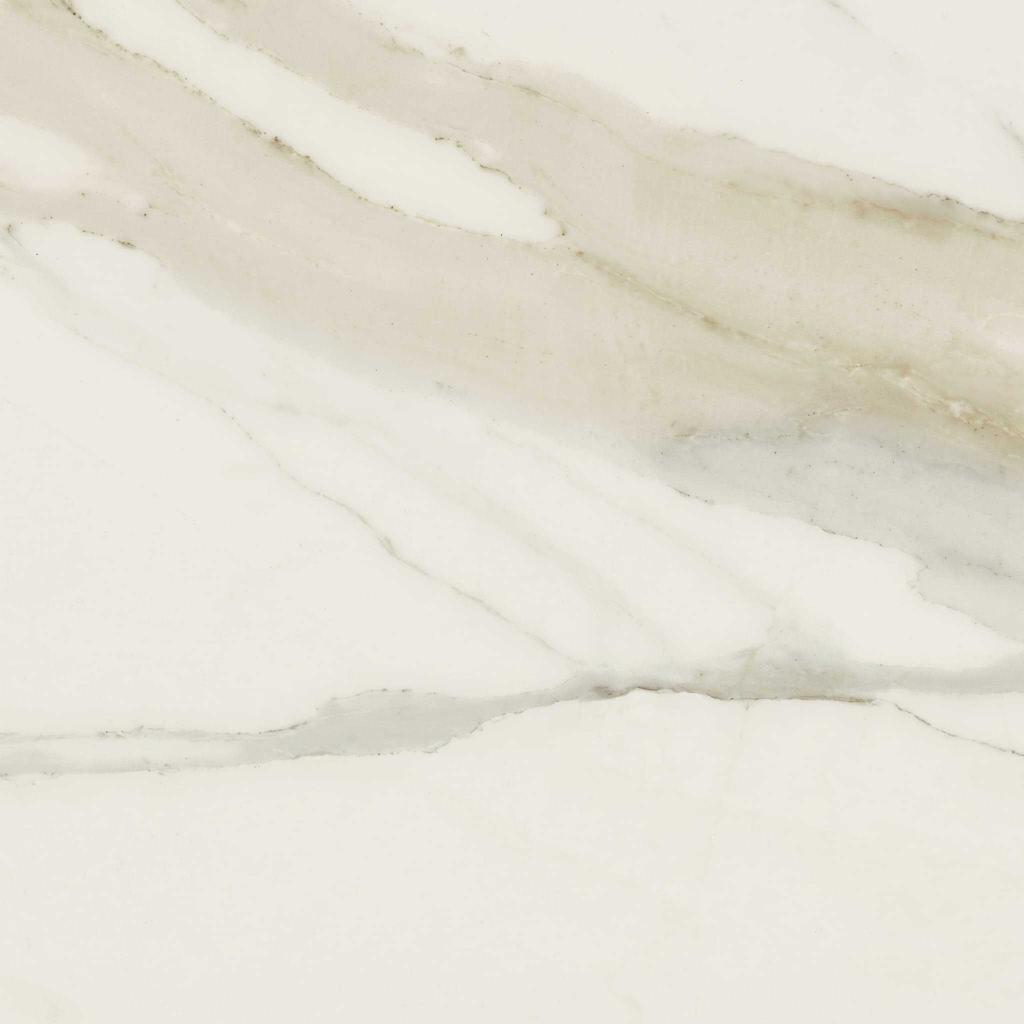 Classici Calacatta Gold Matte