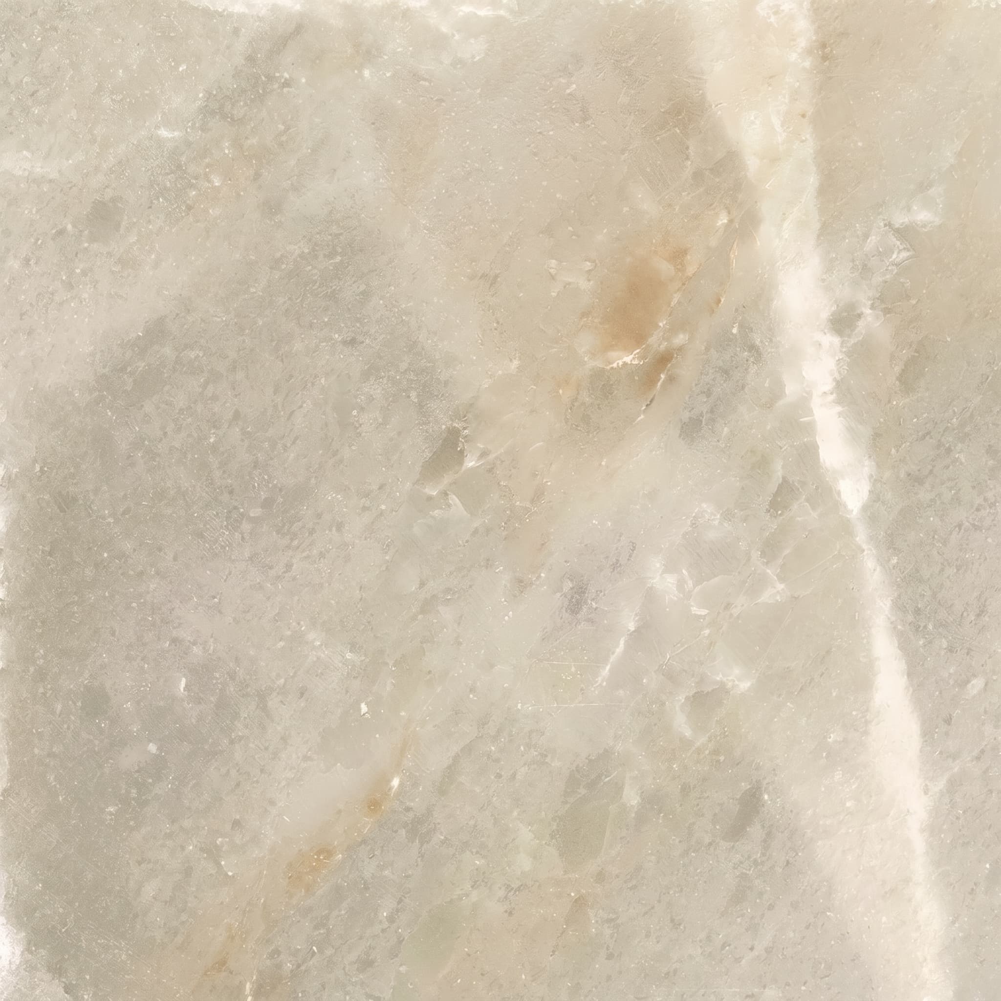 Salt Stone Desert